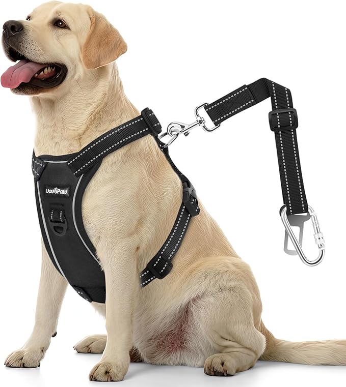 VavoPaw Dog Seat Belt Harness for Car, Dog Car Harness Adjustable Mesh Breathable & Dogs Seatbelt Safety Tether with Elastic Bungee for Small Medium Large Pets(Carbon Black, L)