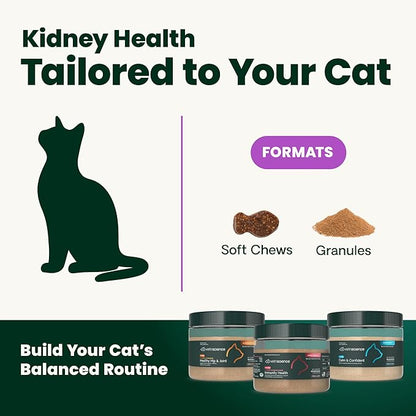 VetriScience Kidney Health Powder, Renal Essentials Supplement for Cats, Kidney Care and Support with Mushroom, Astragalus Root, Nettle Seed and Herbs, Chicken & Cheese, 60 Scoops