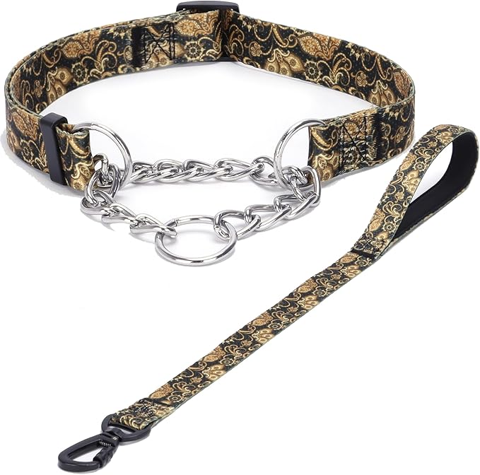 Martingale Dog Collar with Stainless Steel Chain - Limited Chain Cinch Training Collar for No Pull Training Dog - Flower Multicolor Cute Patterns - Premium No Slip Collar (XL, Gold Set)