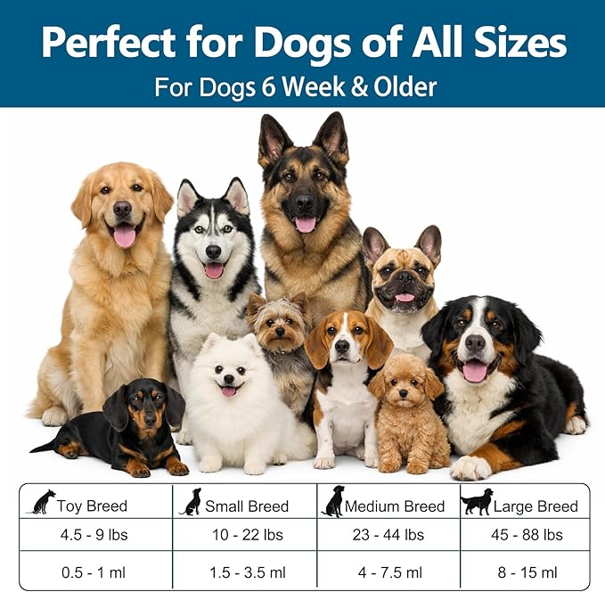 Dewormer for Dogs Fenbendazole for All Wormers, Roundworms , Hookworms , Whipworms and Tapeworms Broad Spectrum