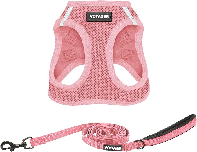 Best Pet Supplies Voyager Step-in Air All Weather Mesh Harness and Reflective Dog 5ft Leash Combo with Neoprene Handle, for Small, Medium and Large Breed Puppies - Set (Pink), X-Small