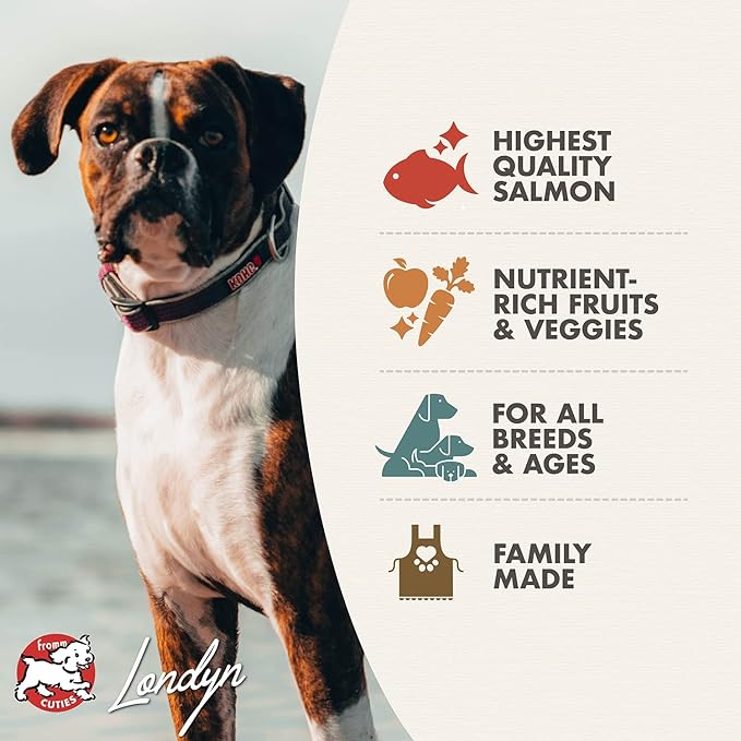 Fromm Four-Star Nutritionals Salmon A La Veg Dog Food - Premium Dry Dog Food - Salmon Recipe - 4 lb