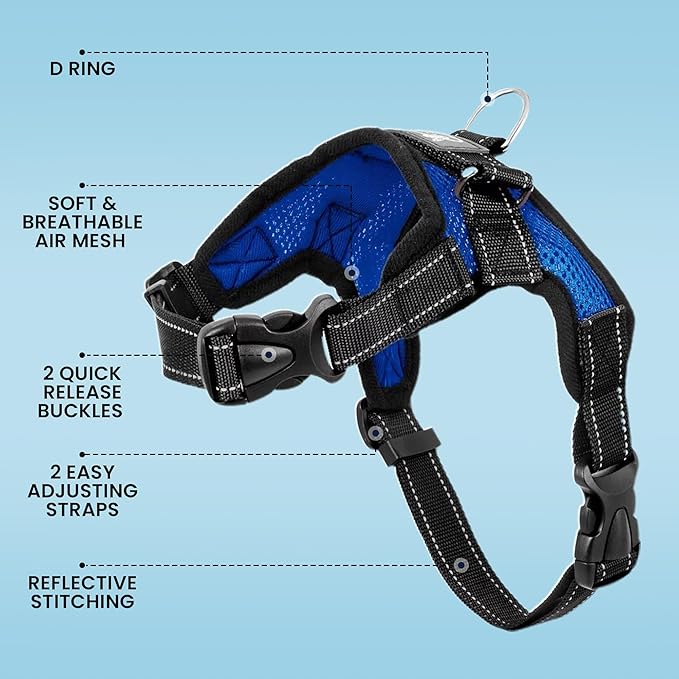 No Pull Reflective Adjustable Dog Harness With Handle- Comfortable Soft All Weather Mesh, Easy On Puppy Harness For Small Medium and Large Dogs (Blue) X-Small