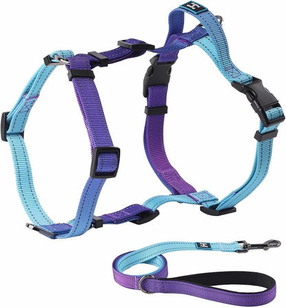 Roses&Poetry Puppy Dog Harness and Leash Set, No Pull Dog Harness Adjustable Reflective, Dog Halter Harnesses Comfort Padded Handle, Pet Harness for Training Outdoor Walking（Gsky-XS
