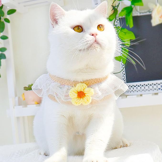 Cat Harness Collar and Leash Set, Sweet Lace Floral Kitten Collar, Escape Proof Puppy Chest Harness, Adjustable Cute Harness Leash Set for Cat Puppy Dog Outdoor Walking (Yellow, S)