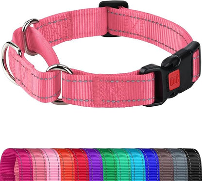 Joytale Martingale Collar for Dogs, Reflective Heavy Duty for Safety, Quick Release Buckle, Adjustable Nylon Collars for Small Dogs Walking Training, Neon Pink, S