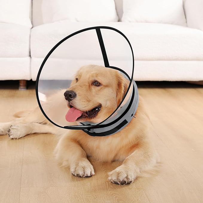 Sponge Core Dog Cone, Inflatable Dog Cone Collar Alternative, Dogs Donut Collar After Surgery, Soft Cone for Large Medium Small Dogs to Stop Licking, No Inflation Required, Clear View(Size 6, Gray)