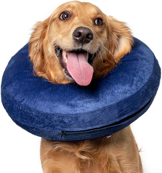 Calm Paws Basic Inflatable Collar Medium