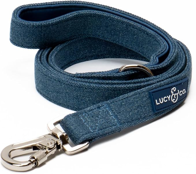 Lucy & Co. 5 Foot Designer Dog Leash for Small, Medium or Big Dogs or Puppies Puppy – Pet Accessories & Supplies- Small-Blue Denim