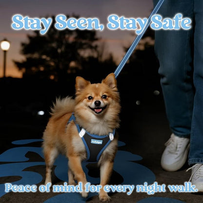 rabbitgoo Dog Harness Small Sized and Leash Set, Step-in Breathable Pet Harness, Soft Walking Reflective Puppy Vest for Small Dogs, Black & Light Blue, M
