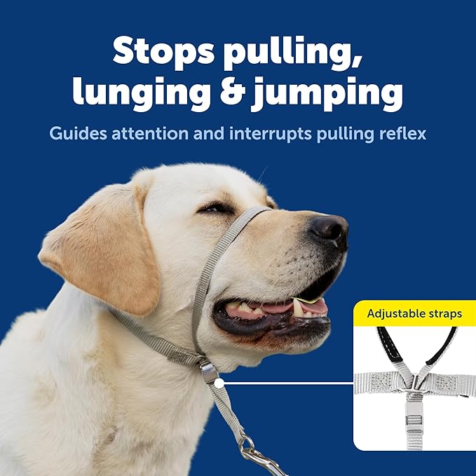 PetSafe Gentle Leader Headcollar No-Pull Dog Collar - Helps Improve Walks - Durable Nylon Construction - Padded Nose Loop - Adjustable Fit - Comfort Walking Halter - Small, Royal Blue