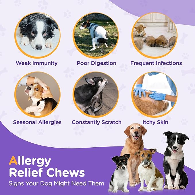 Dog Allergy Relief Chews, Dog Itching Skin Relief, Omega 3 for Dogs Itch Supplement, Relieve Seasonal Allergy, Provide Immune Support (Chicken Flavor, 100ct)