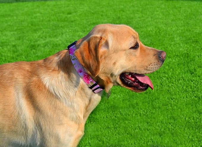Mihqy Dog Collar with Bohemia Floral Tribal Geometric Patterns - Soft Ethnic Style Collar Adjustable for Small Medium Large Dogs (Pink Rose, S)