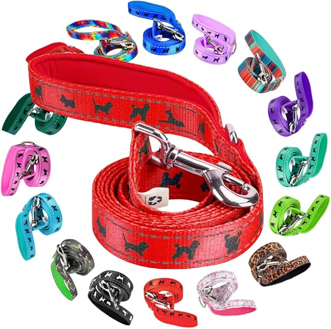 EcoBark Dog Leash - Soft & Reflective Comfort Leashes with Padded Handle - Safe, Strong, & Durable for Small, Medium or Large Dogs (Red)