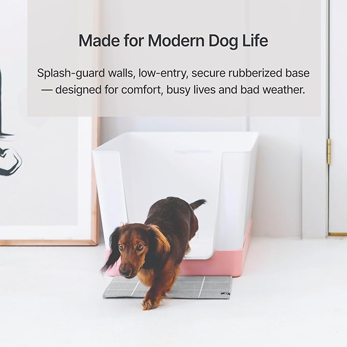 Indoor Dog Potty with High Walls and Low Entry for Small Dogs — Vertical Pad Holder, Splash Guard, and Clean Modern Design by DoggyBathroom (Mini, Pink)