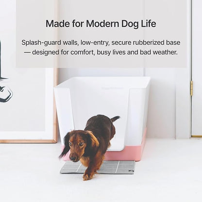Indoor Dog Potty with High Walls and Low Entry for Small Dogs — Vertical Pad Holder, Splash Guard, and Clean Modern Design by DoggyBathroom (Mini, Pink)
