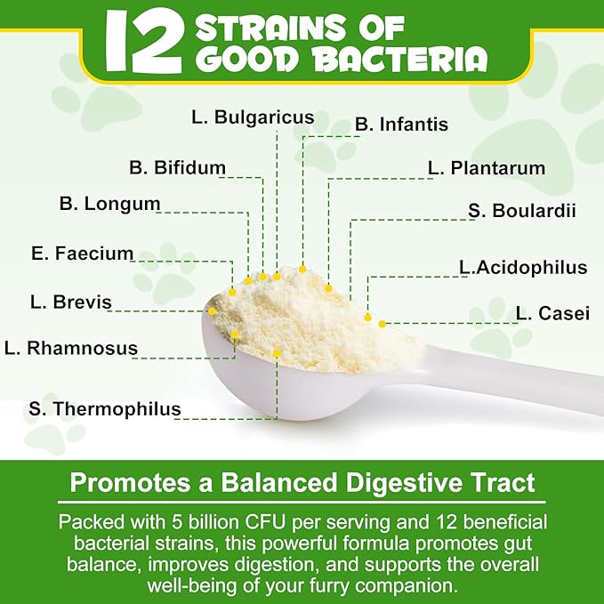 Probiotics Powder for Dogs - Pre & Probiotic Digestive Supplement with Digestive Enzymes & Prebiotics for Dog Support Gut Health, Seasonal Allergies & Immune System Dog Supplies Powder - 120 Scoops