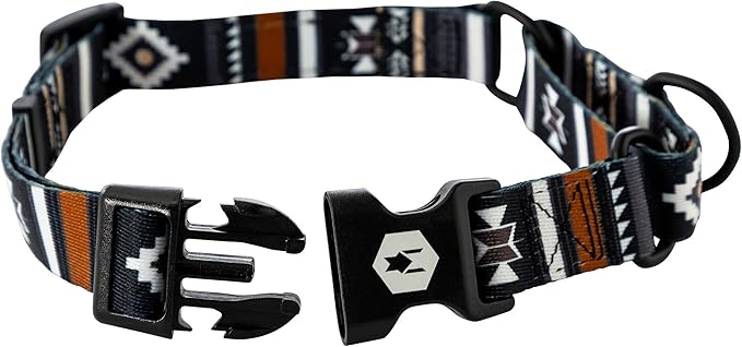 Wolfgang Heavy Duty Martingale Dog Collar with Quick Release Nylon Buckle for Walking & Training, NewMoon Print, Medium