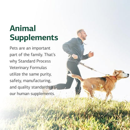 Standard Process Canine Hepatic Support - Dog Supplement to Aid Liver Health - Hepatic Immune Function & Liver Metabolism Support Supplement - Powder Supplement for Dogs - 30 g