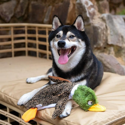 Best Pet Supplies Squeaky Dog Toys with Soft Durable Fabric for Small, Medium and Large Pets Interactive Toy for Indoor Play, Supports Active Biting and Play - Duck & Alligator, Small