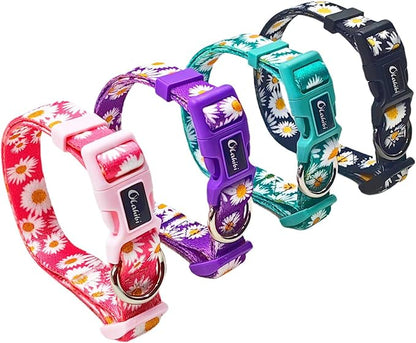 Dog Collar and Leash Set, Cute Daisy Pattern, Polyester Material, 5ft Leash, for Puppy Dogs.(Extra Small,Purple Daisy)