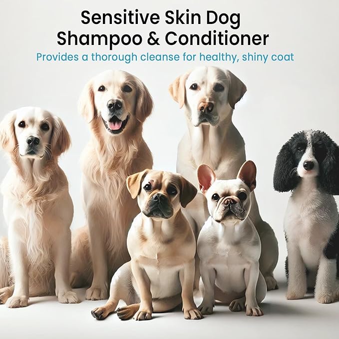 ALFIE'S CHOICE Dog Shampoo and Conditioner Set | 16 fl oz Each | Lavender & Rosemary with Biotin | for Itchy, Dry & Sensitive Skin | Detangling & Moisturizing for All Breeds & Puppies | Made in USA