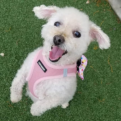 Best Pet Supplies Voyager Step-in Air Harness - All Weather Mesh, Reflective, No Pull Harness for Dogs, Cats - Secure with Hook & Loop Fastener, Buckle, Double D-Rings - Pink, M
