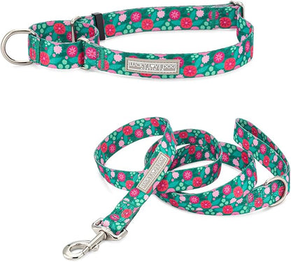 Lucky Love Dog Martingale Dog Collar & Leash - Adjustable, No-Slip, Durable, Comfortable, Soft Webbing, & Stylish Patterned Collar & Leash Set for Male and Female Dogs - Penny Combo, Medium