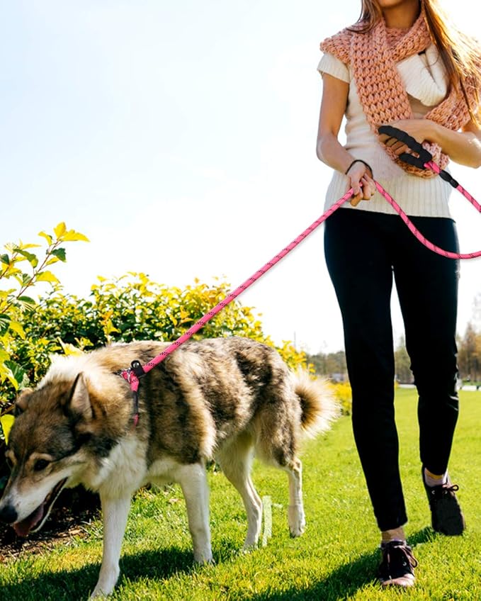TagME 6ft Slip Dog Lead, No Pull Reflective Training Leash with Padded Handle, Professional Rope P-Leash for Small Medium Large Dogs, Heavy Duty Correction Lead for Walking & Training (Pink)