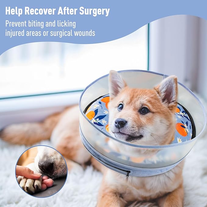 Inflatable Dog Cone, Soft Dog Cone Collar After Surgery for Alternative with Enhanced Anti-Licking Guard Shield Adjustable Detachable, Elizabethan Collar (S, Orange)