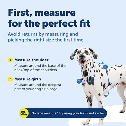 PetSafe 3-in-1 Harness - Comfortable Easy-Walk Dog Chest Harness with Front Leash Attachment to Reduce Pulling, Choking & Gagging - Dog Obedience Gear - Small - Teal