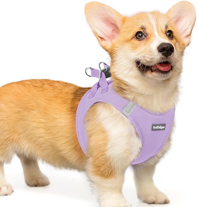 rabbitgoo Small Dog Harness, Step-in Soft Mesh Puppy Vest with Safety Buckle, Breathable Reflective Pet Harness for Small Medium Dogs, Light Purple L