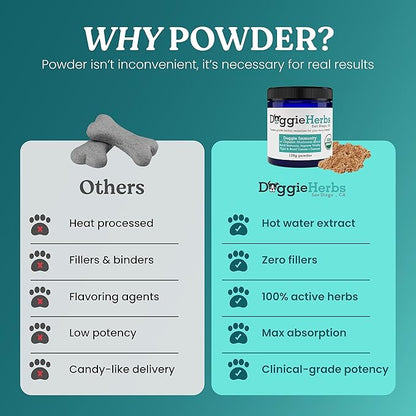 High Potency Immune Support – Critical Care Formula with Turkey Tail, Reishi & TCM Mushrooms + Herbs – Doctor Formulated Powder for Recovery, Vitality & Cellular Health 100g