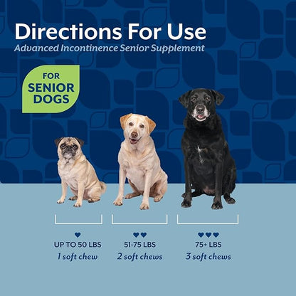 NaturVet Senior Advanced Incontinence Dog Supplement – Helps Support Dog’s Bladder Control, Normal Urination – Includes Synergistic Blend of Botanicals – 60 Ct. Soft Chews