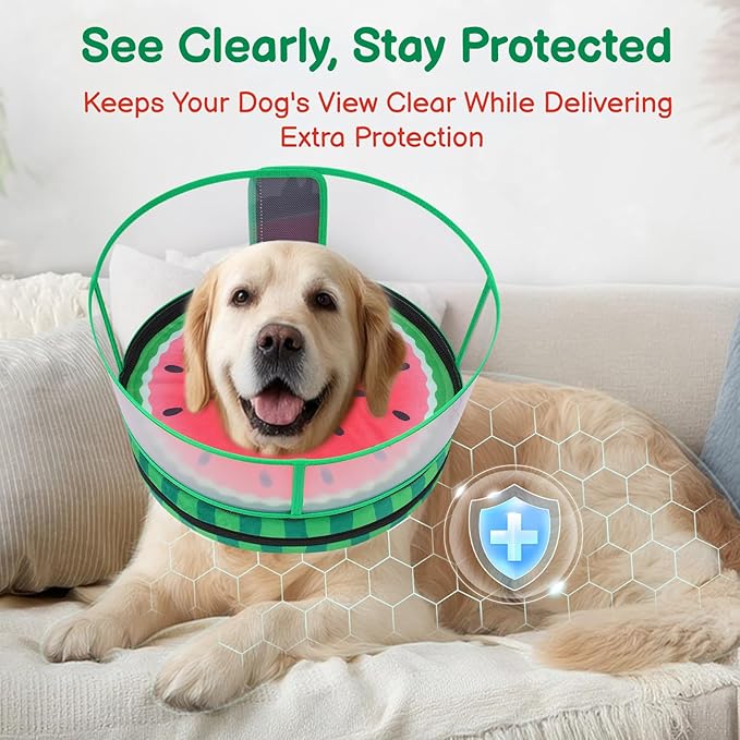 Sponge Dog Cone After Surgery, No Inflation Required Dog Donut Collar to Stop Licking, Inflatable Cone Alternatives for Medium Pets, Soft Recovery Collar with Protective Shield (Watermelon,M+)
