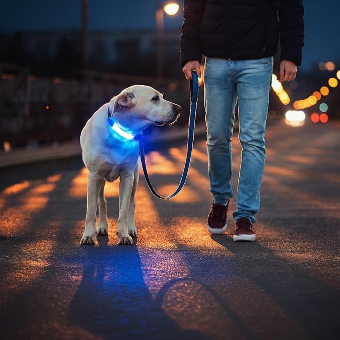 Dog Leash Light 2 Pack, LED Night Walking Safety Light for Collar Harness, Waterproof Glow Band with Nylon Stickers, Easy Clip-on Attachment for Small Large Dogs