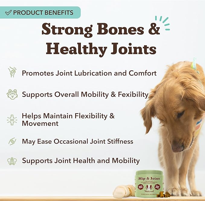 Natural Dog Company Hip & Joint Supplement Chew for Dogs – Supports Mobility, Flexibility & Comfort, Glucosamine, Chondroitin, MSM & Turmeric, Chicken Flavor, 90 Count