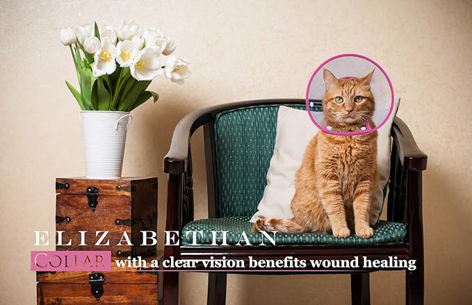 Cat Cone Collar, to Stop Licking, Recovery Elizabethan After Surgery, Clear Soft Neck E-Collar, Not Block Vision, for Kitten Puppy Dog Pet in Surgery Remedy - M in Rose