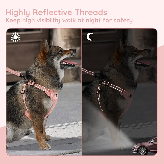 BELLA & PAL Adjustable Step-in Dog Harness, Puppy No-Pull Vest with Leash Set for XS/Small & Medium Dog, Breathable All-Weather Mesh, Reflective Strip, Secure Hook & Loop