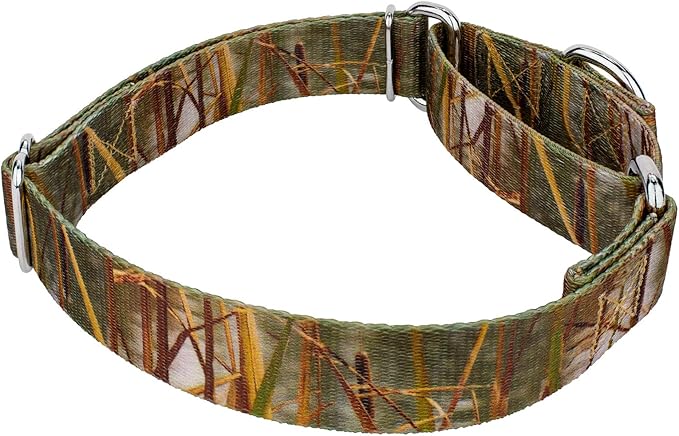 Country Brook Petz - Waterfowl Camo Martingale Dog Collar and Leash - Camouflage Collection Featuring Rugged Designs (1/2 Inch, 2XS)