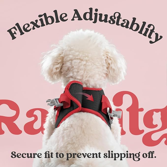 rabbitgoo Dog Harness Small Sized and Leash Set, Step-in Breathable Pet Harness, Soft Walking Reflective Puppy Vest for Small Dogs, Black & Red, XXS