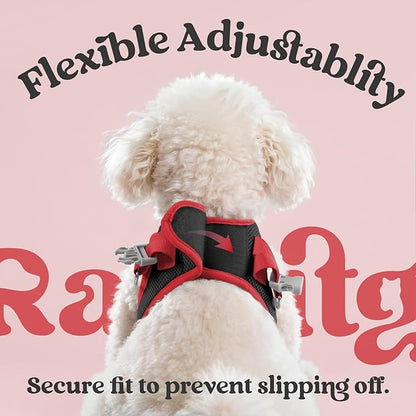 rabbitgoo Dog Harness Small Sized and Leash Set, Step-in Breathable Pet Harness, Soft Walking Reflective Puppy Vest for Small Dogs, Black & Red, XXS