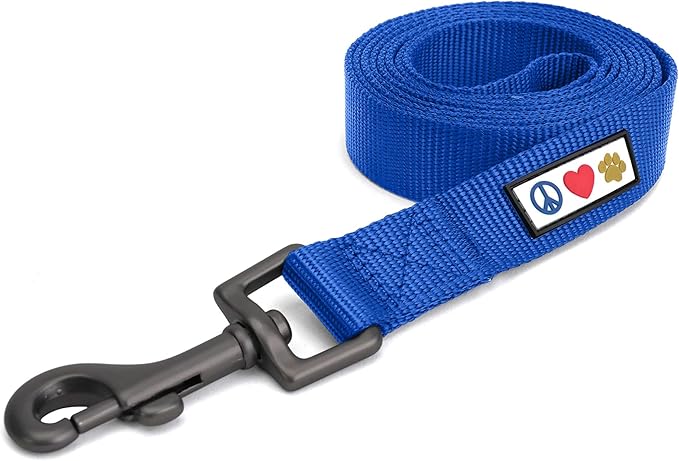 Pawtitas Solid 6 ft Blue Dog Leash XS/S Custom Name and Phone Embroidery Strong Nylon Leash for Small Breeds
