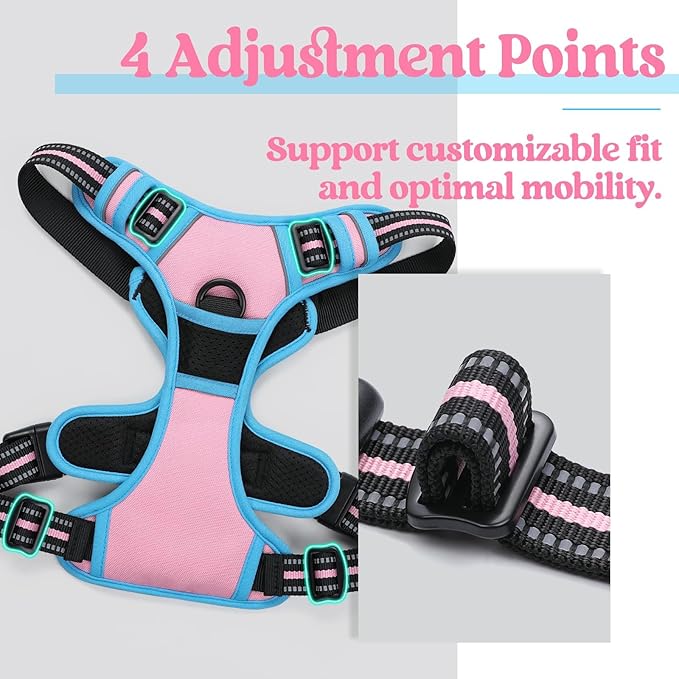 rabbitgoo Dog Harness No Pull with 2 Leash Clips, Adjustable Soft Padded, Reflective Oxford No Choke Pet Vest with Easy Control Handle for Large Dogs, Pink & Blue, XL