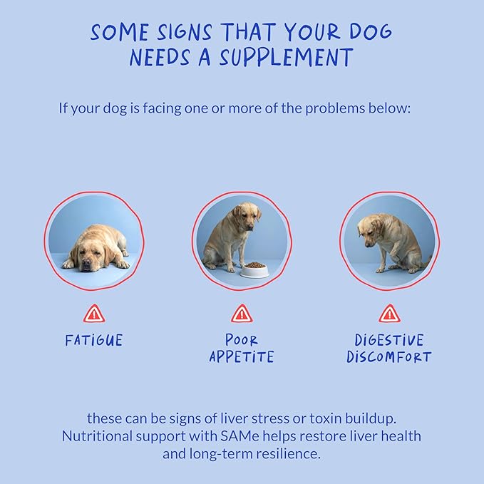 Same for Dogs - 90 Soft Chews - S-Adenosyl-L-Methionine, Liver Supplement - Brain Health, Promotes Cognitive Support, Liver Support (Same Soft Chews)