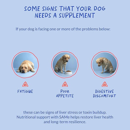 Same for Dogs - 90 Soft Chews - S-Adenosyl-L-Methionine, Liver Supplement - Brain Health, Promotes Cognitive Support, Liver Support (Same Soft Chews)