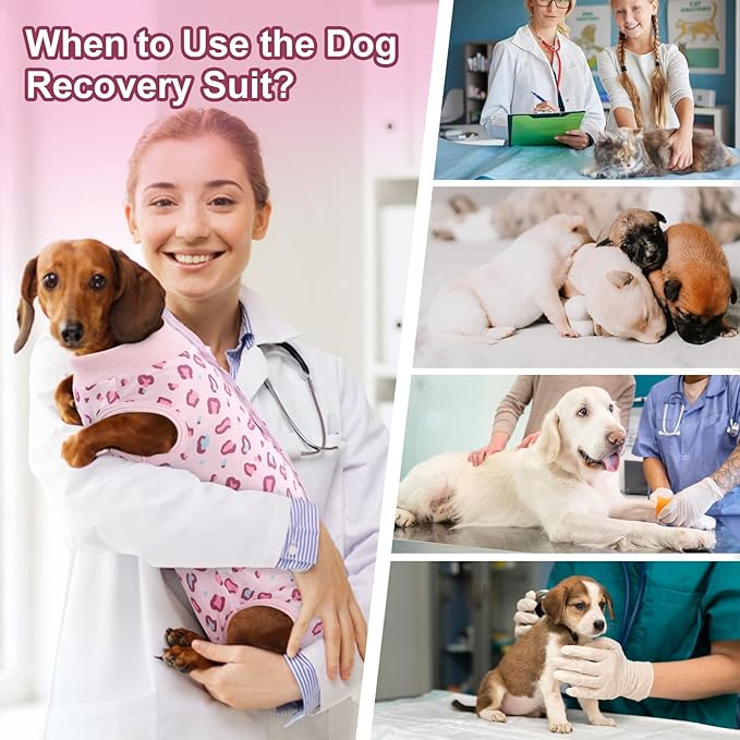 SAWMONG 2 Pack Dog Surgery Recovery Suit, Leopard Recovery Suit for Dogs After Surgery, Soft Polyester Spay Surgical Suit Female Male, Dog Onesie Body Suit Substitute Cone Alternative,2XL