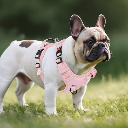 Timos Dog Harness Small Sized, No Pull Pet Harness with Neck Lockable Snap,No Choke Front Clip Dog Reflective Vest,Adjustable Metal Rings 3 Buckles,Easy Control Handle for Small Dogs Pink XS