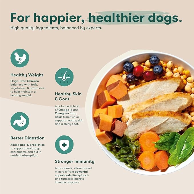 Jinx Premium Grain-Free Dry Dog Food Bundle - Chicken & Salmon - 4lb Each