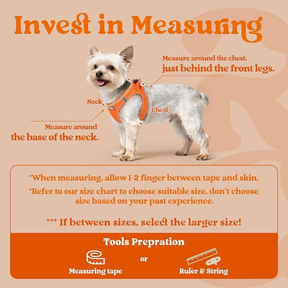 rabbitgoo Small Dog Harness, Step-in Soft Mesh Puppy Vest with Safety Buckle, Breathable Reflective Pet Harness for Small Sized Dogs, Orange S
